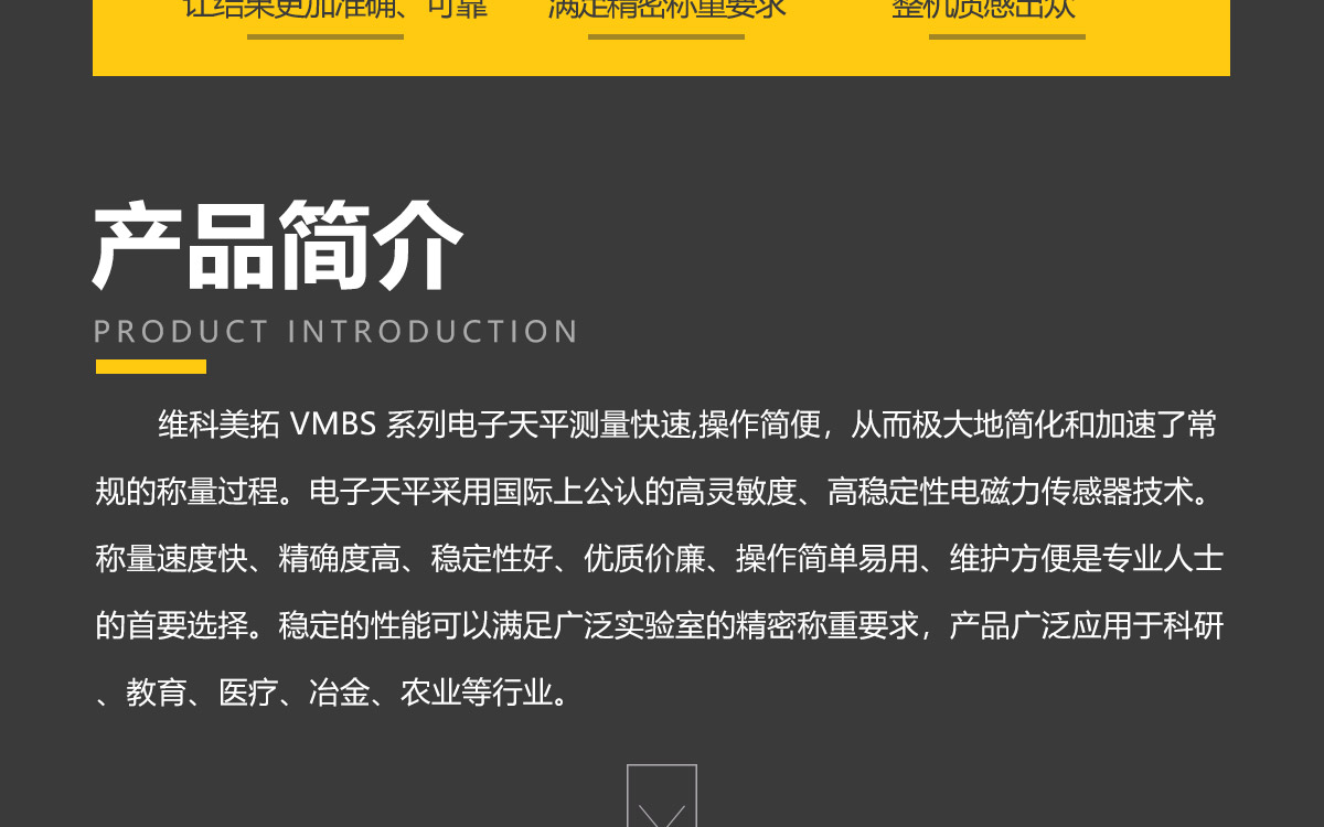 VMBS Series Portable Precision Electronic Balance VMBS Series Portable Precision Electronic Balance