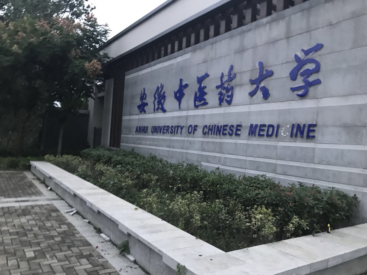 Anhui University of Chinese Medicine