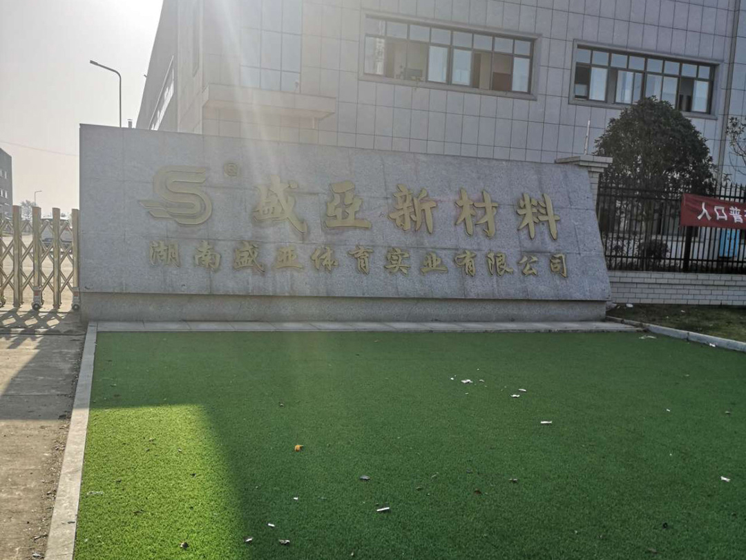 Hunan Shengya Sports Industry