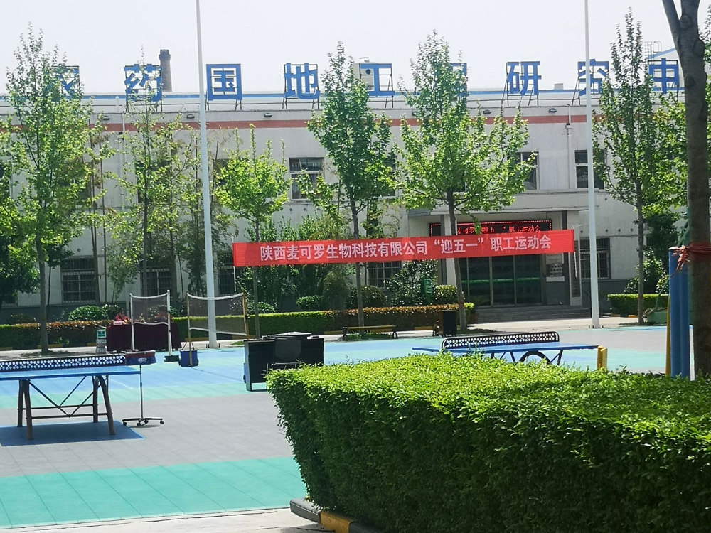 Shaanxi Lvdun Institute of Environmental Engineering