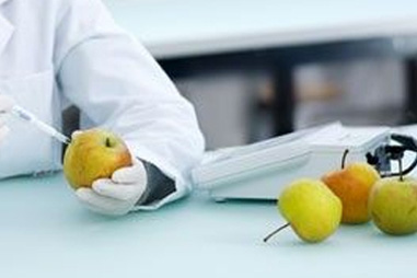 Density Measurement