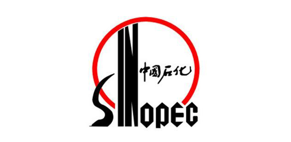 Sinopec Case Study 