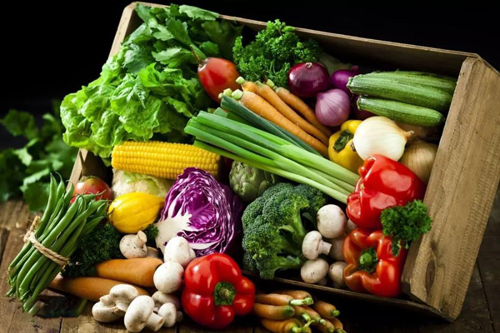 Determination of Moisture Content of 5 Vegetables by the Halogen Moisture Analyzer Method
