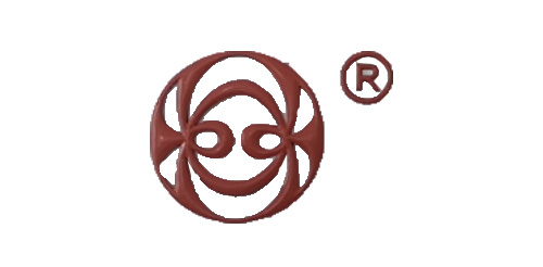 Jiangsu Huashen Pharmaceutical Co., Ltd.