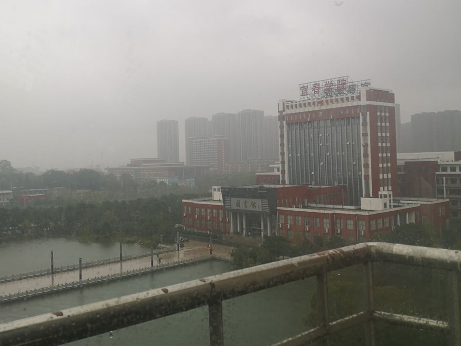 Yichun University